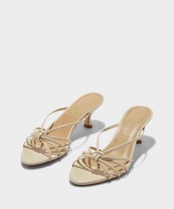 Blairwheatley.shop2f205c8d19 1