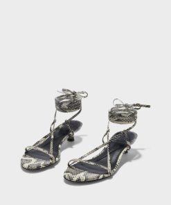 Blairwheatley.shope77c67e56f 1